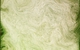 #2