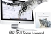 Mac OSX snow Leopard